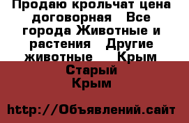 Продаю крольчат цена договорная - Все города Животные и растения » Другие животные   . Крым,Старый Крым